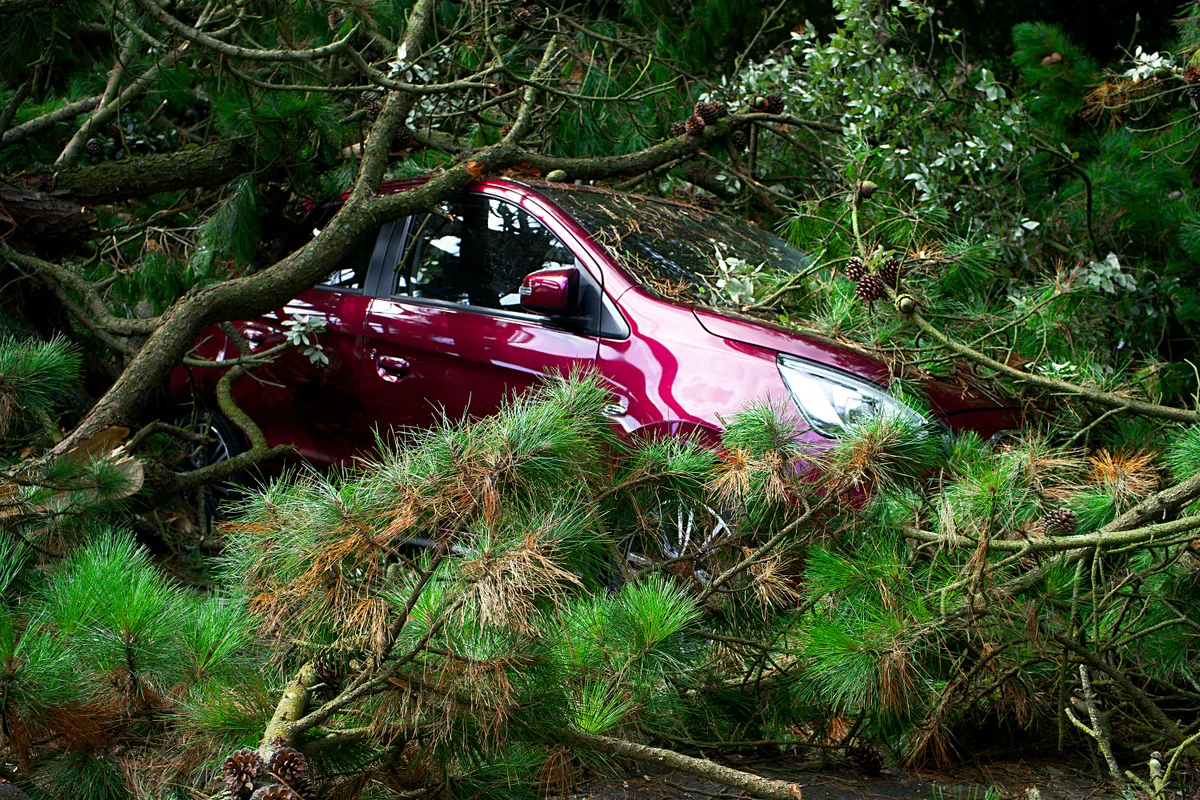 Storm-damaged trees fallen on a car